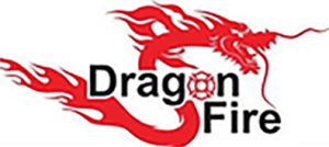 Dragon Fire Logo